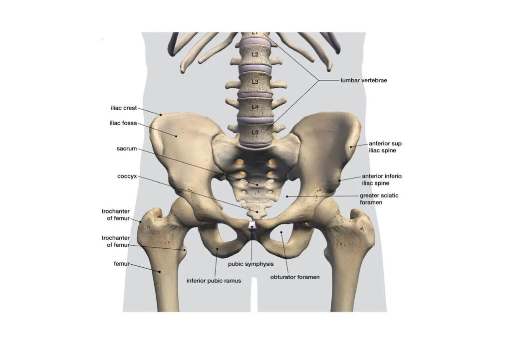 How to help clients reduce 'hip dips' - Body Contouring Academy