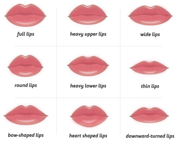 A variety of different lip shapes are possible through artistic lip injections